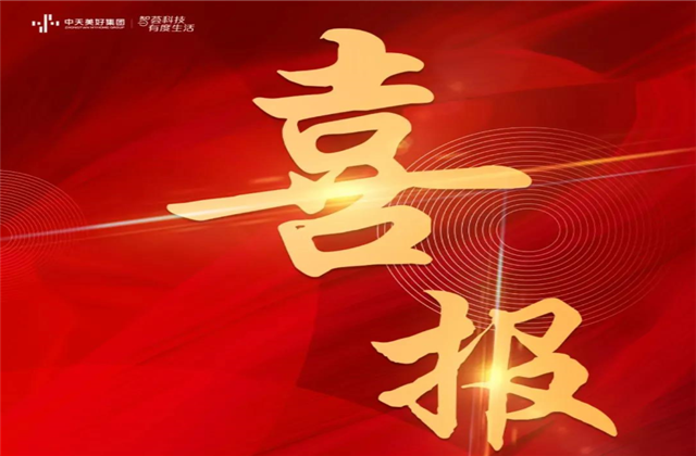 3044永利美好集团蝉联“2021长三角城市群房地产公司品牌价值TOP10”